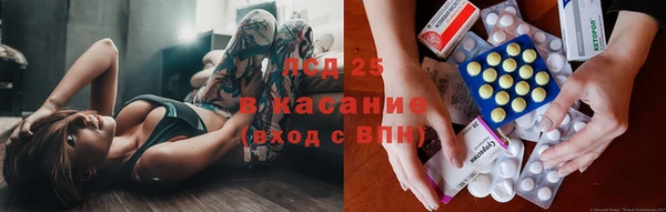 стафф Алзамай