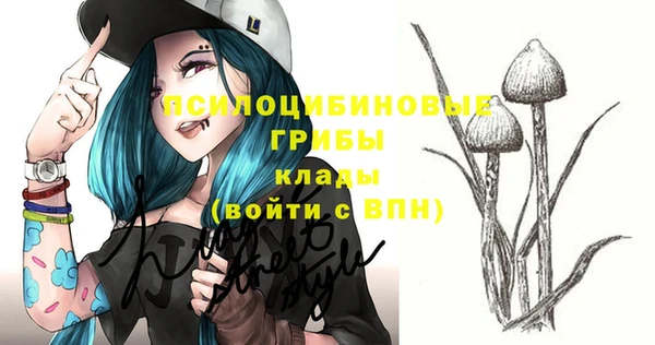 стафф Алзамай