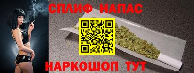 молекула духа Славянск-на-Кубани