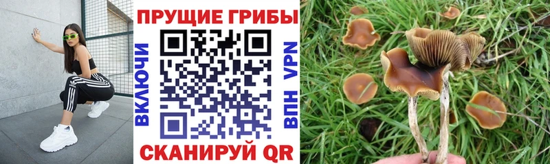 Псилоцибиновые грибы мухоморы  наркота  Строитель 