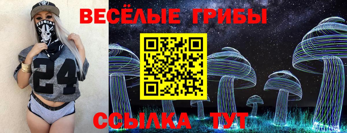 Строитель  Псилоцибиновые грибы MAGIC MUSHROOMS  Вход с VPN 