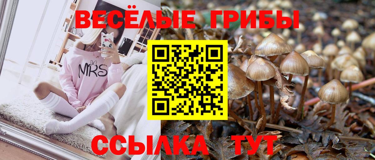 Псилоцибиновые грибы Magic Shrooms Строитель